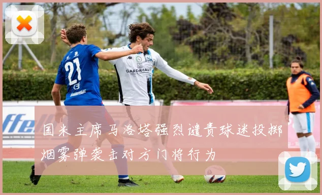 国米主席马洛塔强烈谴责球迷投掷烟雾弹袭击对方门将行为