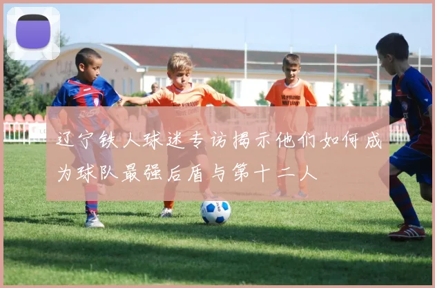 辽宁铁人球迷专访揭示他们如何成为球队最强后盾与第十二人